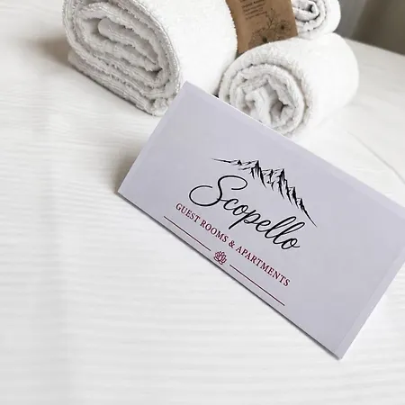 Guest & Hotel *
